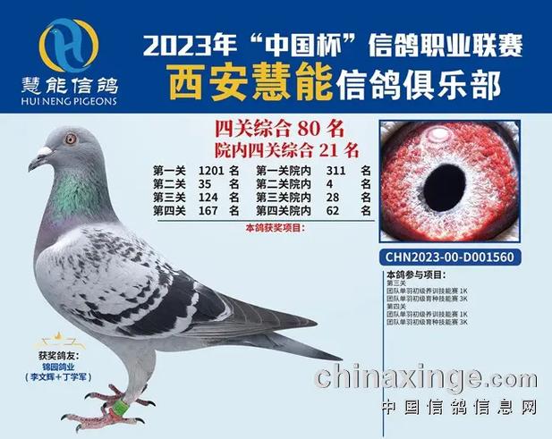 中国信鸽信息网官网手机版截图1