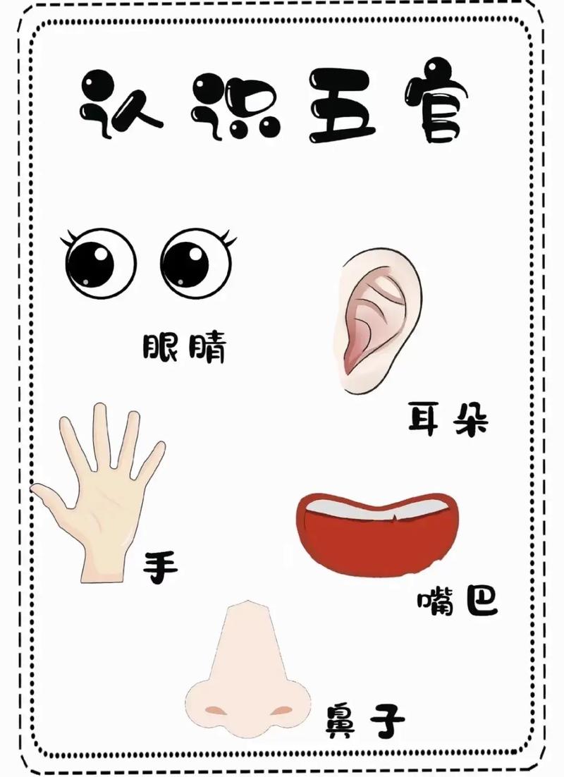 汗蒸一年后五官变化图