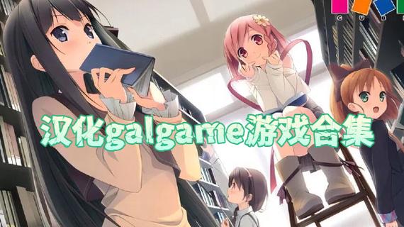 gal汉化补丁放在哪里截图2