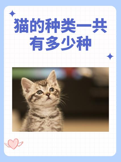 猫品种大全100种图片