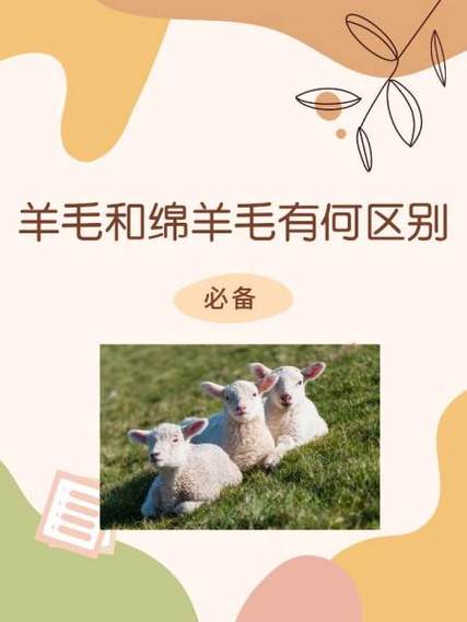 绵羊毛100%可以水洗吗