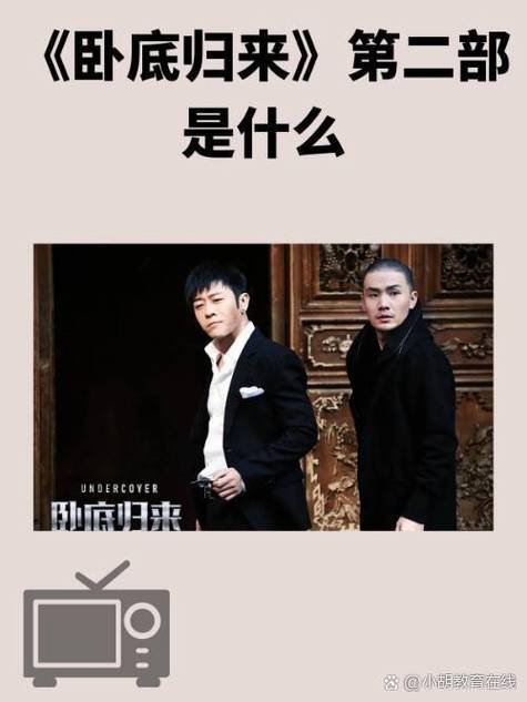卧底归来2是原班人马吗截图3
