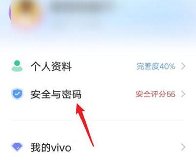 怎么解除vivo账号验证截图3
