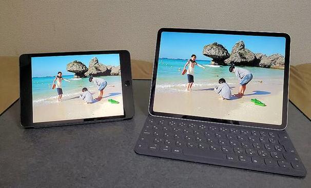 ipad mini5屏幕截图3