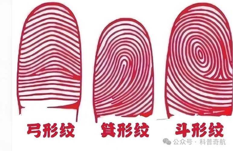 采生纹是什么样子图片