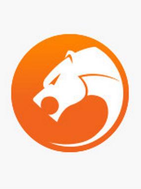 猎豹浏览器手机版截图3