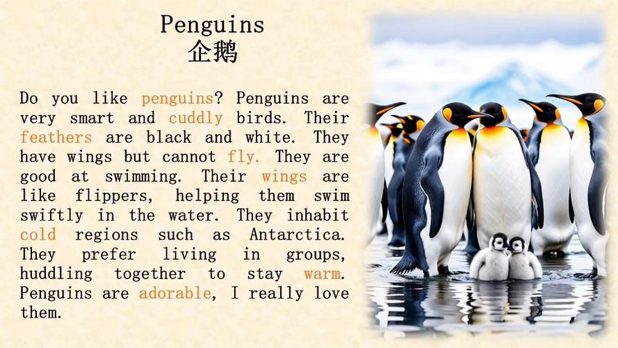 企鹅阅读