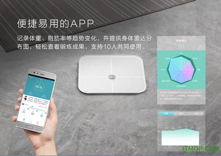 小米体脂秤准吗