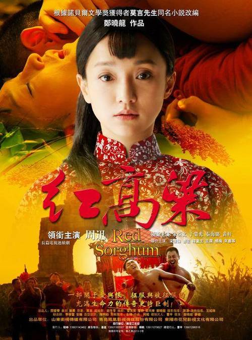 红高粱1—60集免费播放