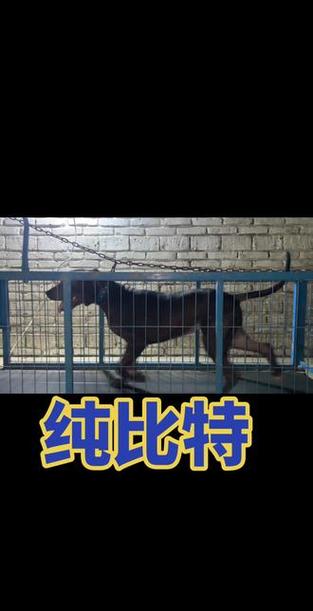 比特28几分钟分钟一次