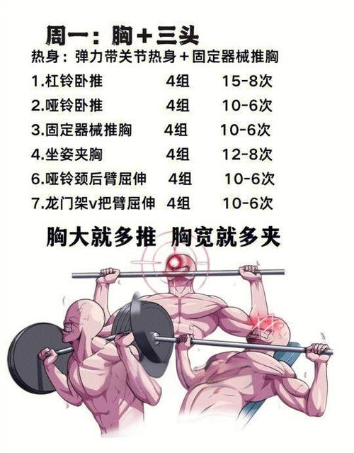 一周健身计划截图2