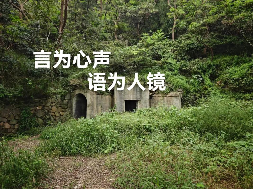 树洞现在改名叫什么了