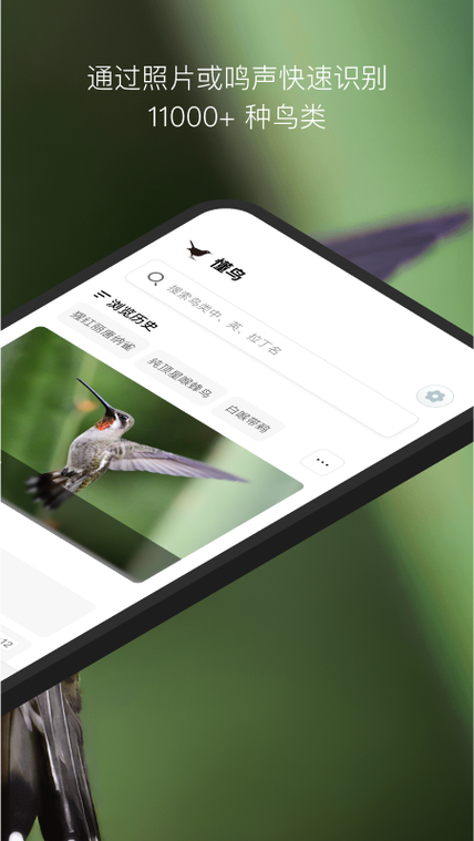 懂鸟app下载v3.0安卓版截图2