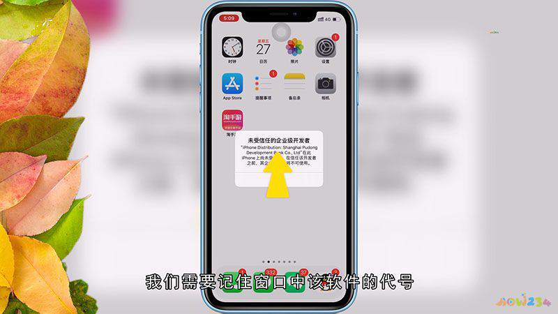 苹果手机下载别的软件怎么信任