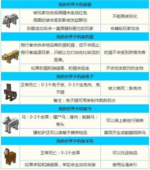 我的世界怎么驯服小猫