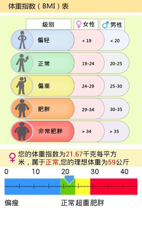 女性bmi图片或视频怎么计算