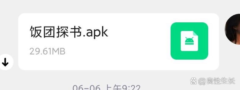 饭团探书历史版本下载