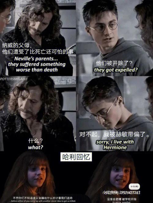 赫敏怎么忍过钻心咒