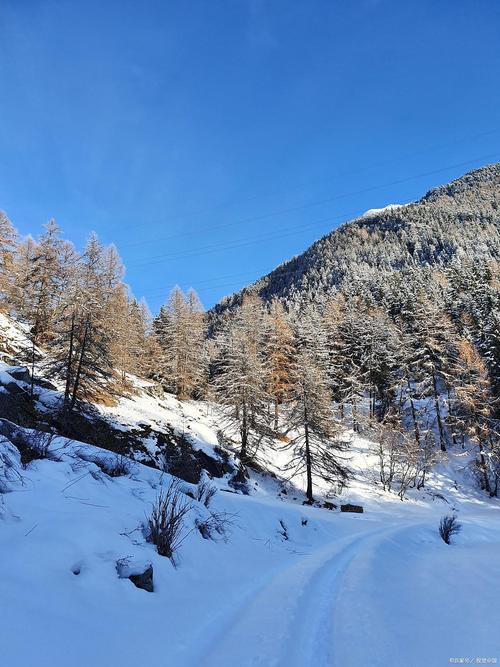 森林去雪山要准备什么截图2