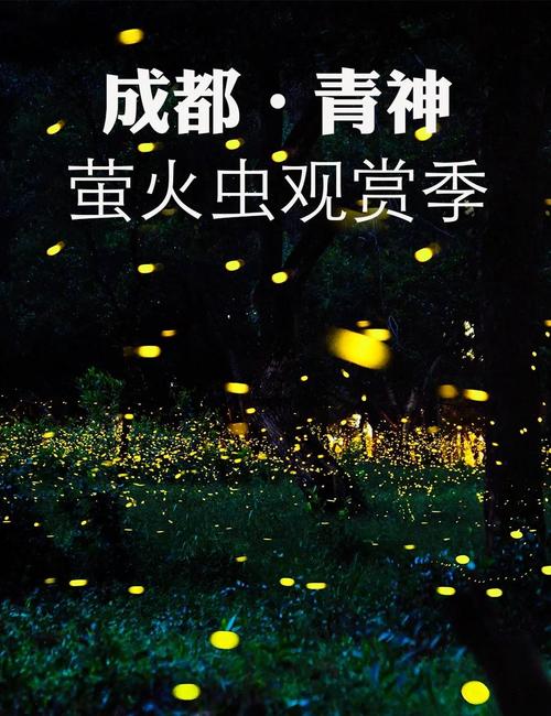 萤火虫介绍资料