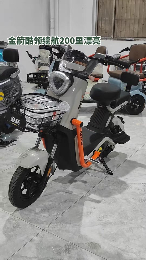 电动车金箭型号 电动车金箭型号