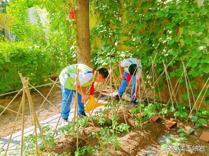 百草园在哪里