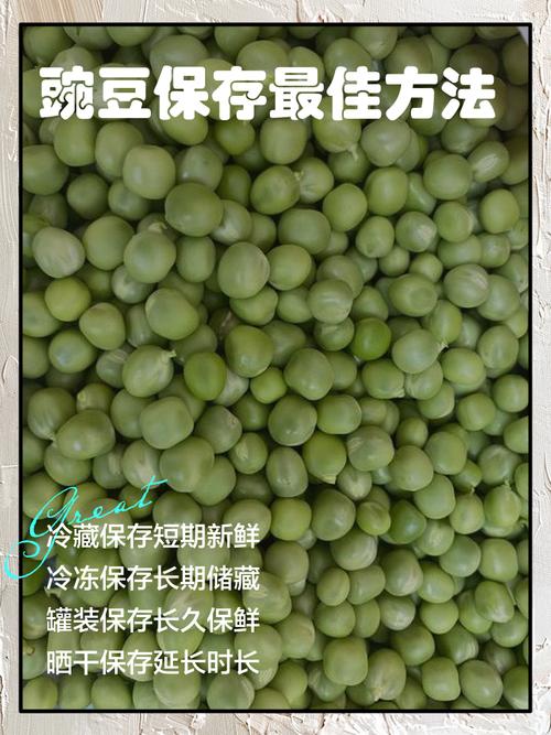 小豌豆储存一罐读后感想