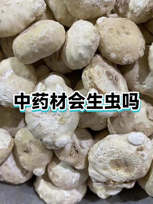 中药出虫会影响药效吗截图3