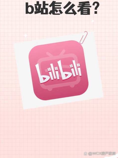 b站大会员两个手机怎么用截图2