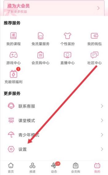 b站大会员两个手机怎么用截图3
