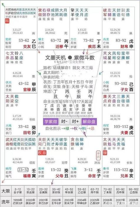 紫薇命盘免费排盘