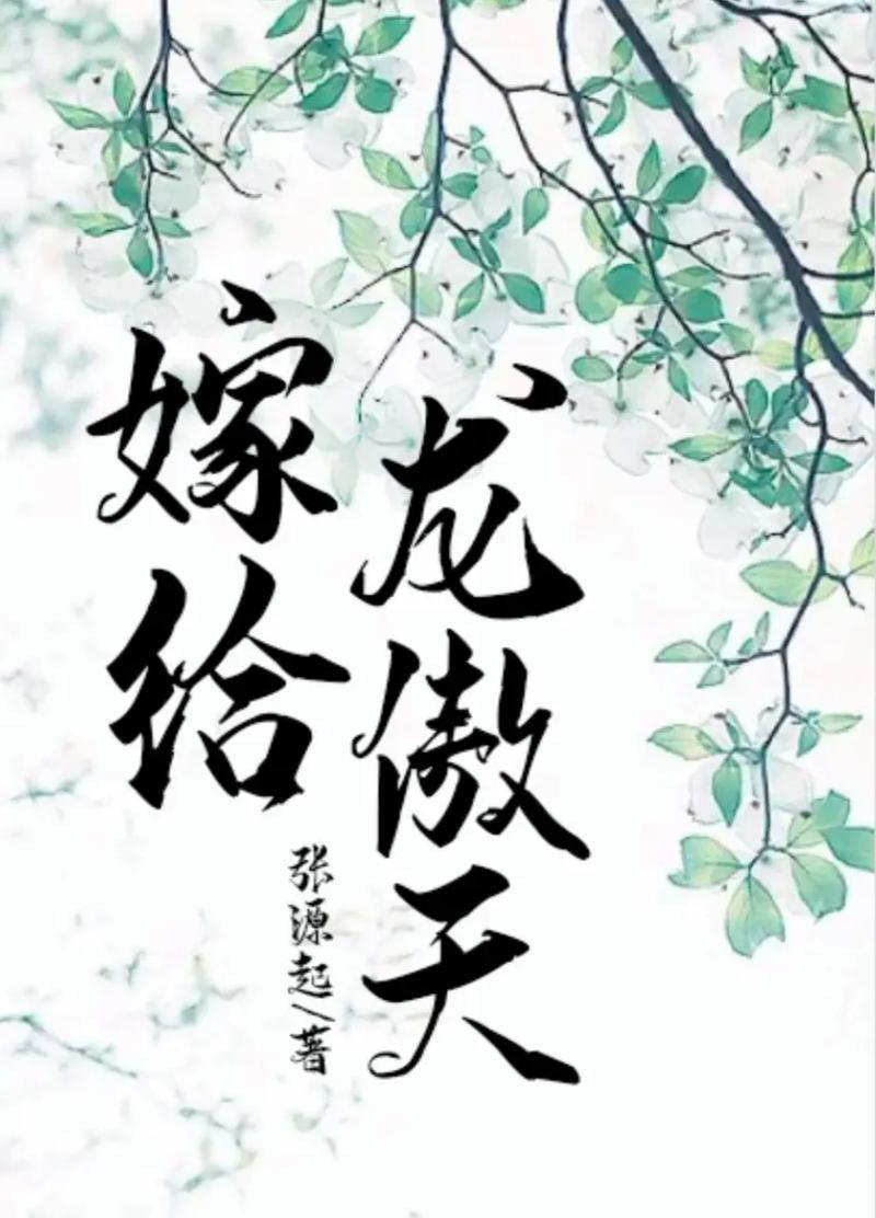 主攻迎娶那个龙傲天