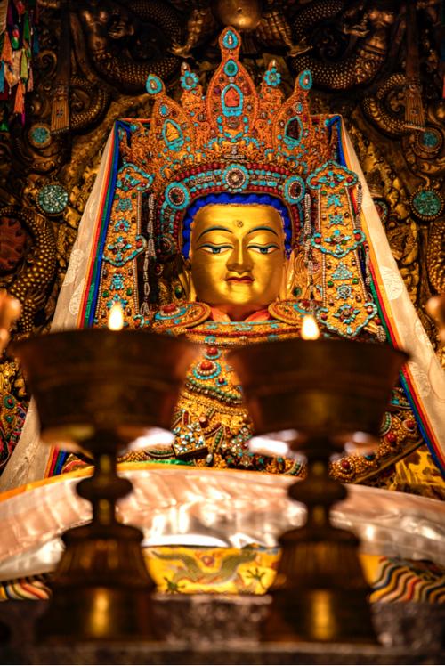 大昭寺门票优惠政策截图3