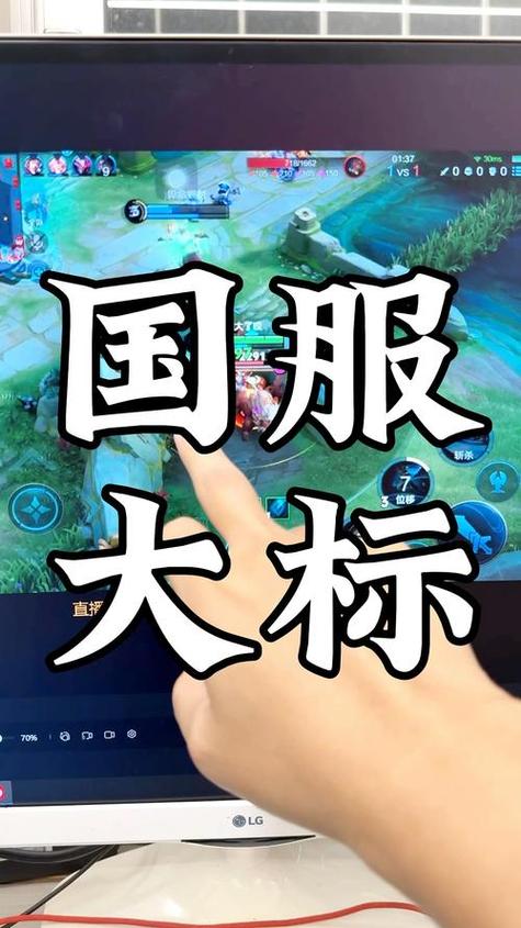 王者荣耀国服标志悬浮窗软件截图2