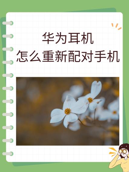华为耳机怎么和oppo手机连接截图2