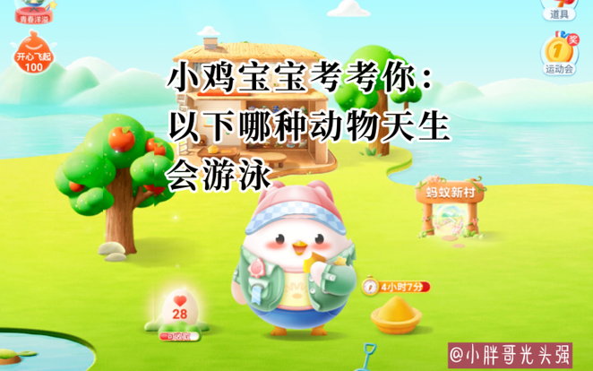小鸡宝宝今天的答案1月10号