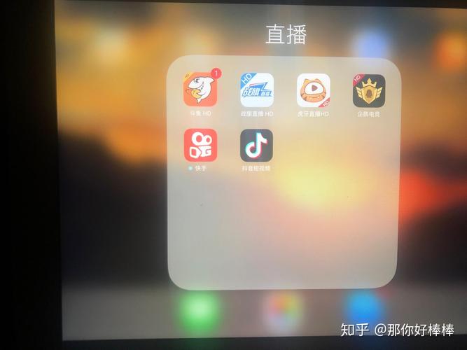ipad斗鱼悬浮窗口截图3