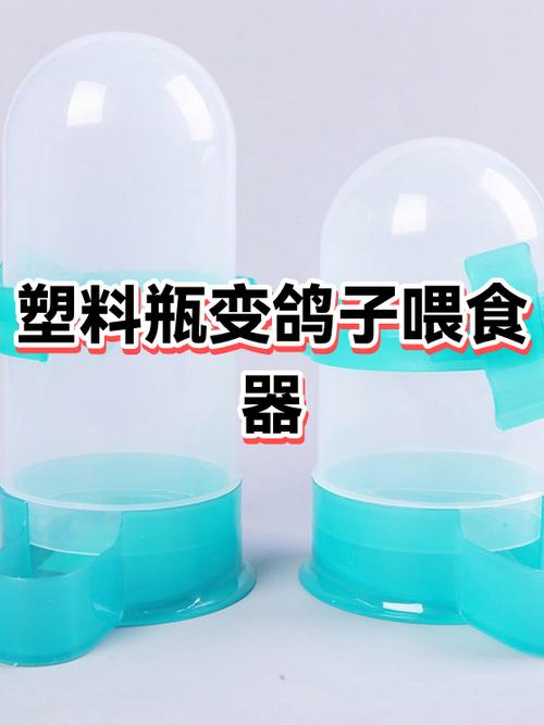 鸽子被水瓶砸到谐音梗