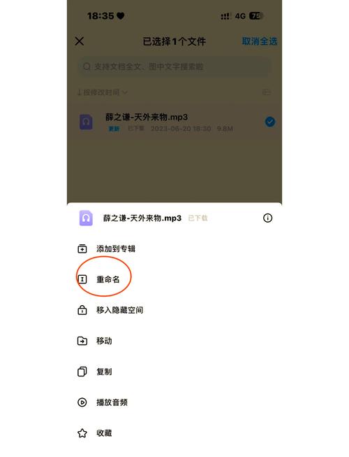 百度网盘用流量下载怎么设置截图2