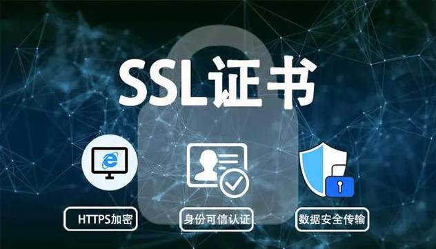 数字证书年费多少截图1