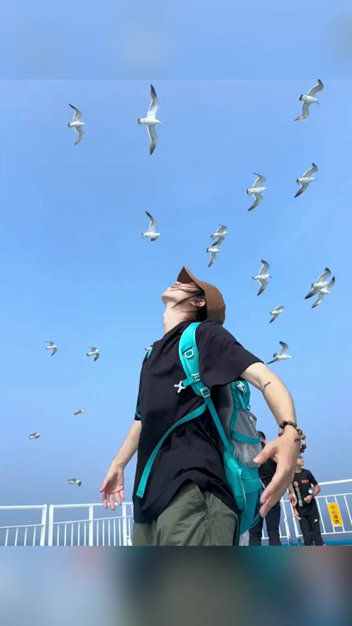海鸥聊天app下载