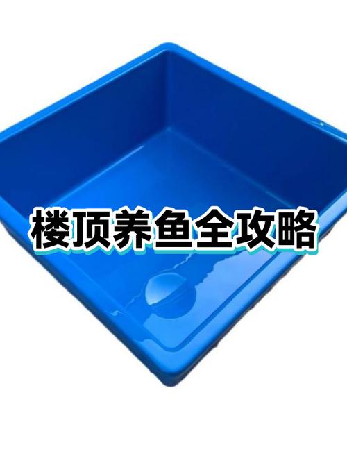 自家楼顶建水池养鱼禁忌