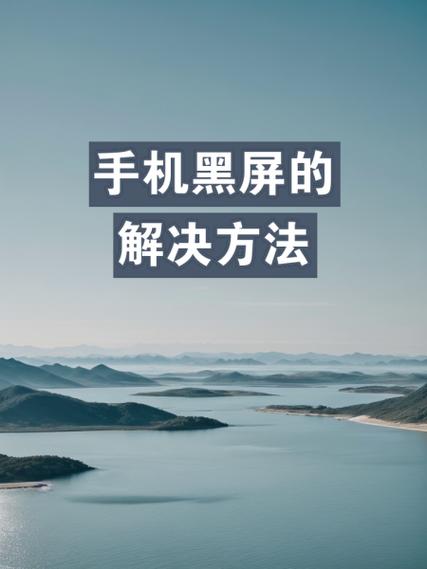 手机相册照片黑屏怎么办截图2