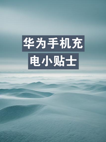 手机充电技巧