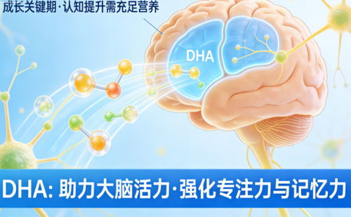 记忆力差的孩子怎么补截图2