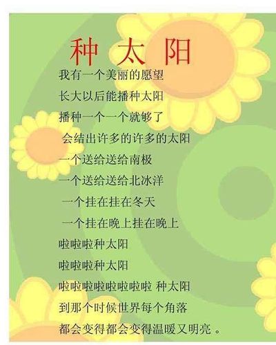 种太阳歌词截图3