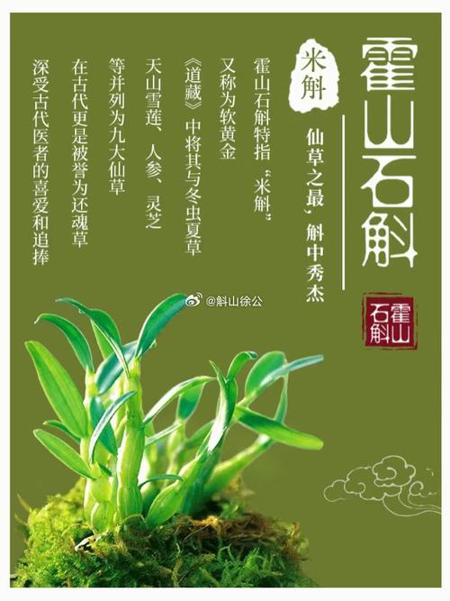 石斛的功效与作用的功能截图2