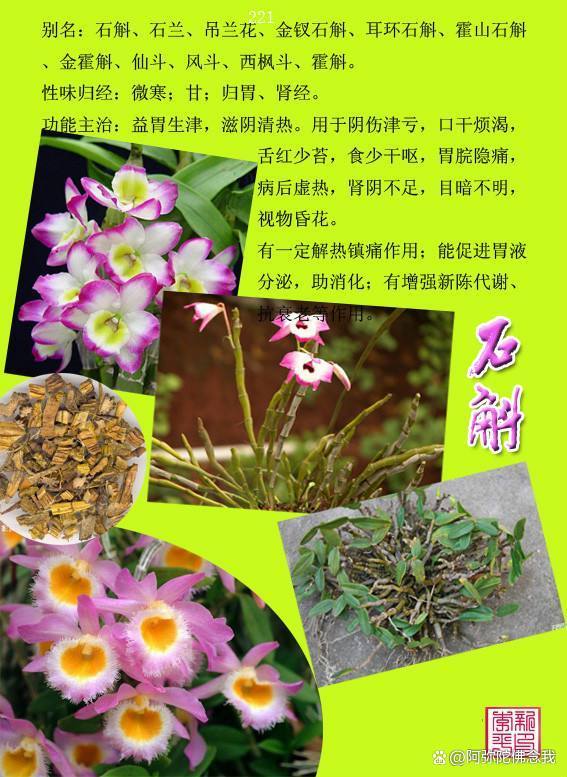 石斛的功效与作用的功能截图3