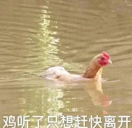 可爱的表情包 小孩 可爱的表情包 小孩