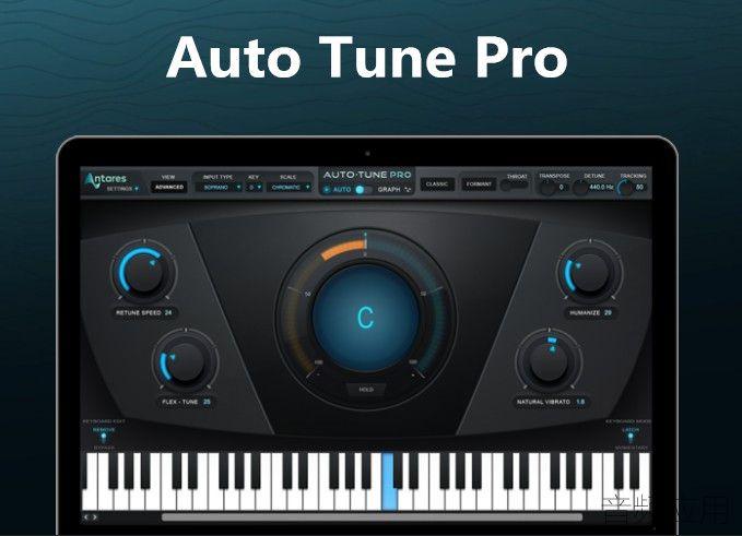 电音的英文 autotune